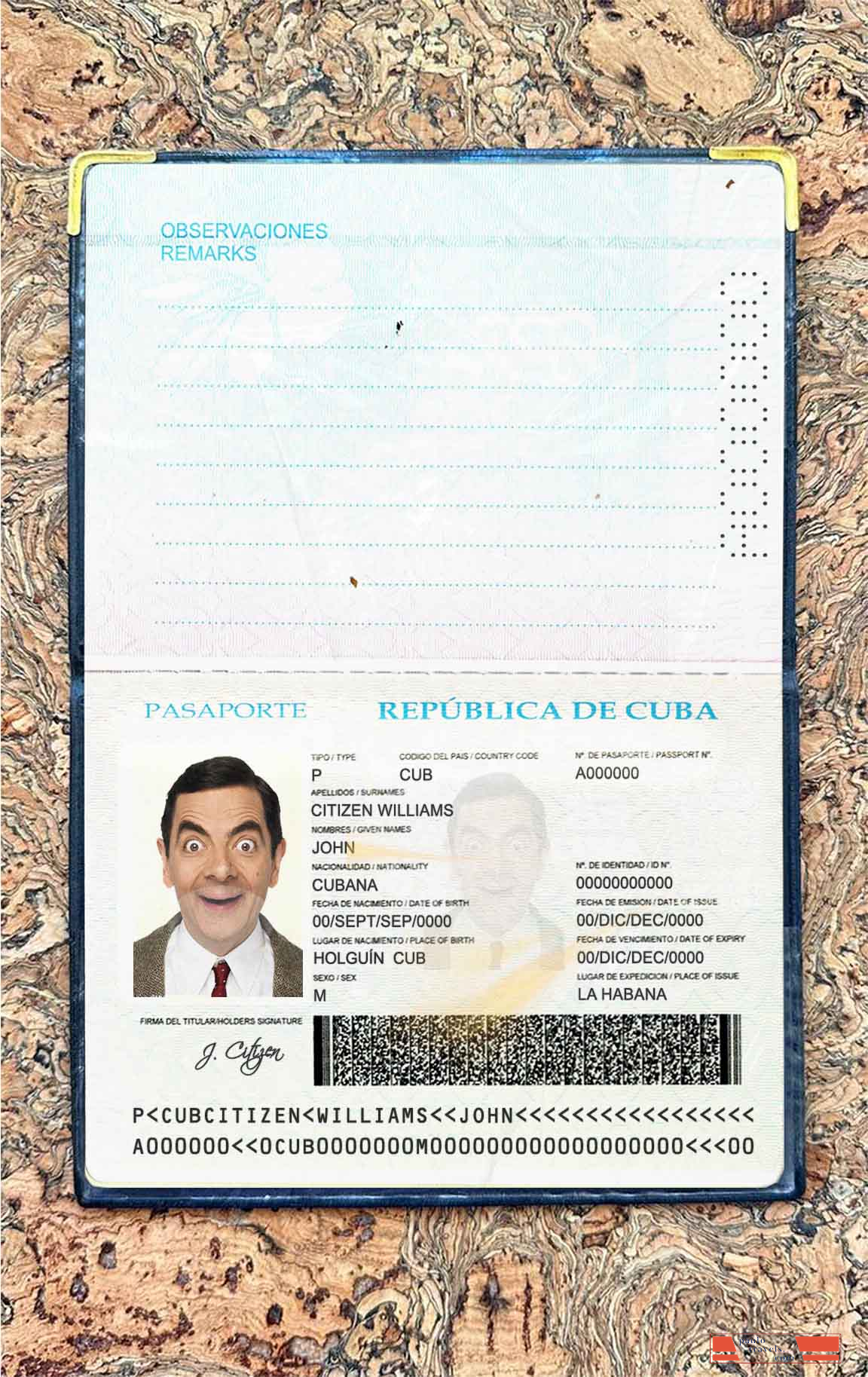Cuba passport photo look PSD template